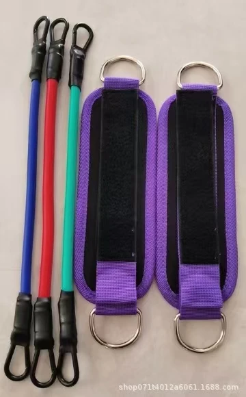 purple Set of 6