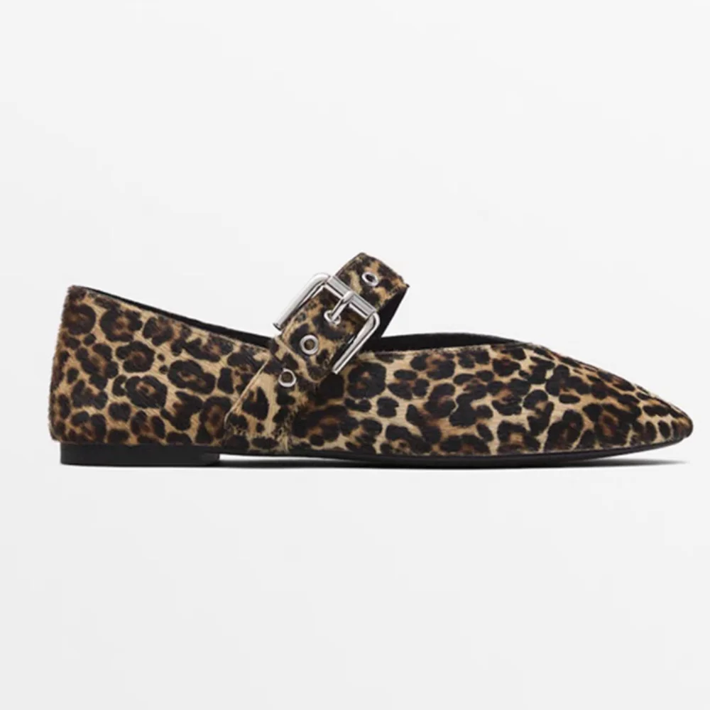 leopard